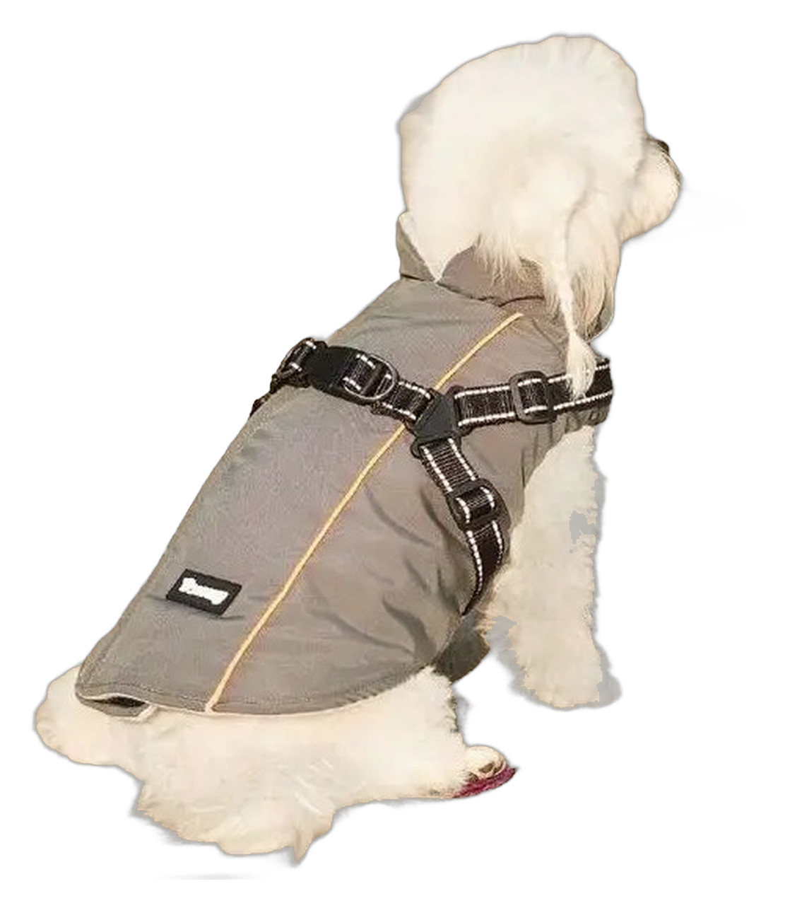 Cuppy Storm Coat — Waterproof Dog Rain Jacket