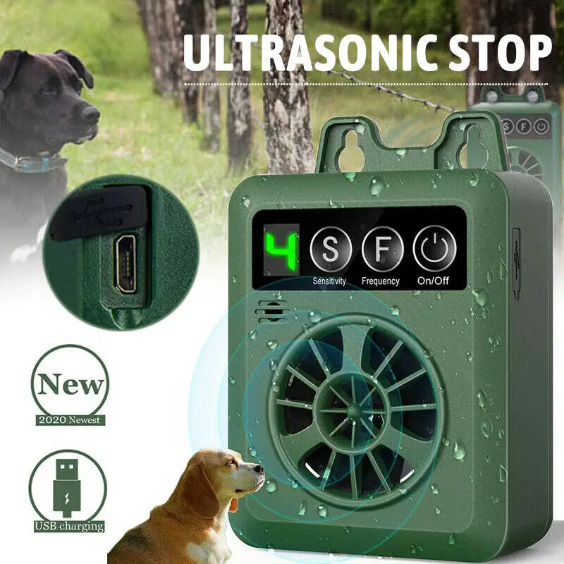 Cuppy Quiet Coach mounted outdoors next to a dog