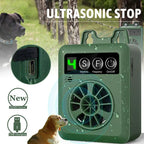 Cuppy Quiet Coach mounted outdoors next to a dog