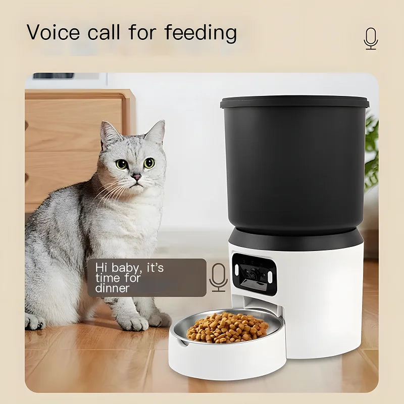 Cat listening to a recorded voice message at mealtime