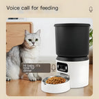 Cat listening to a recorded voice message at mealtime