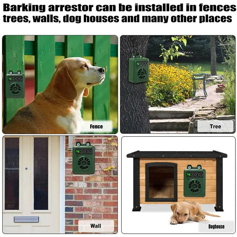 Where to hang the Cuppy Quiet Coach: fence, tree, wall or kennel