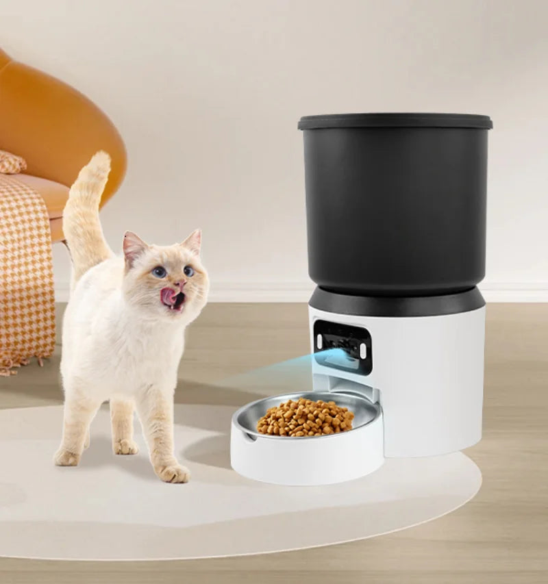 Cat next to the Cuppy Feeder Cam in a living room