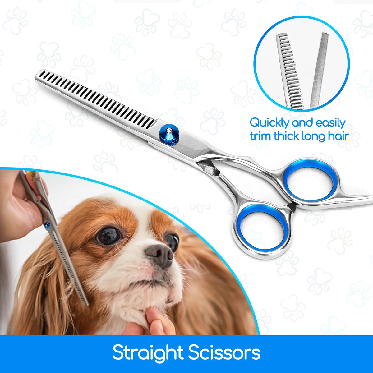 Trimming a small dog's coat with the straight scissors