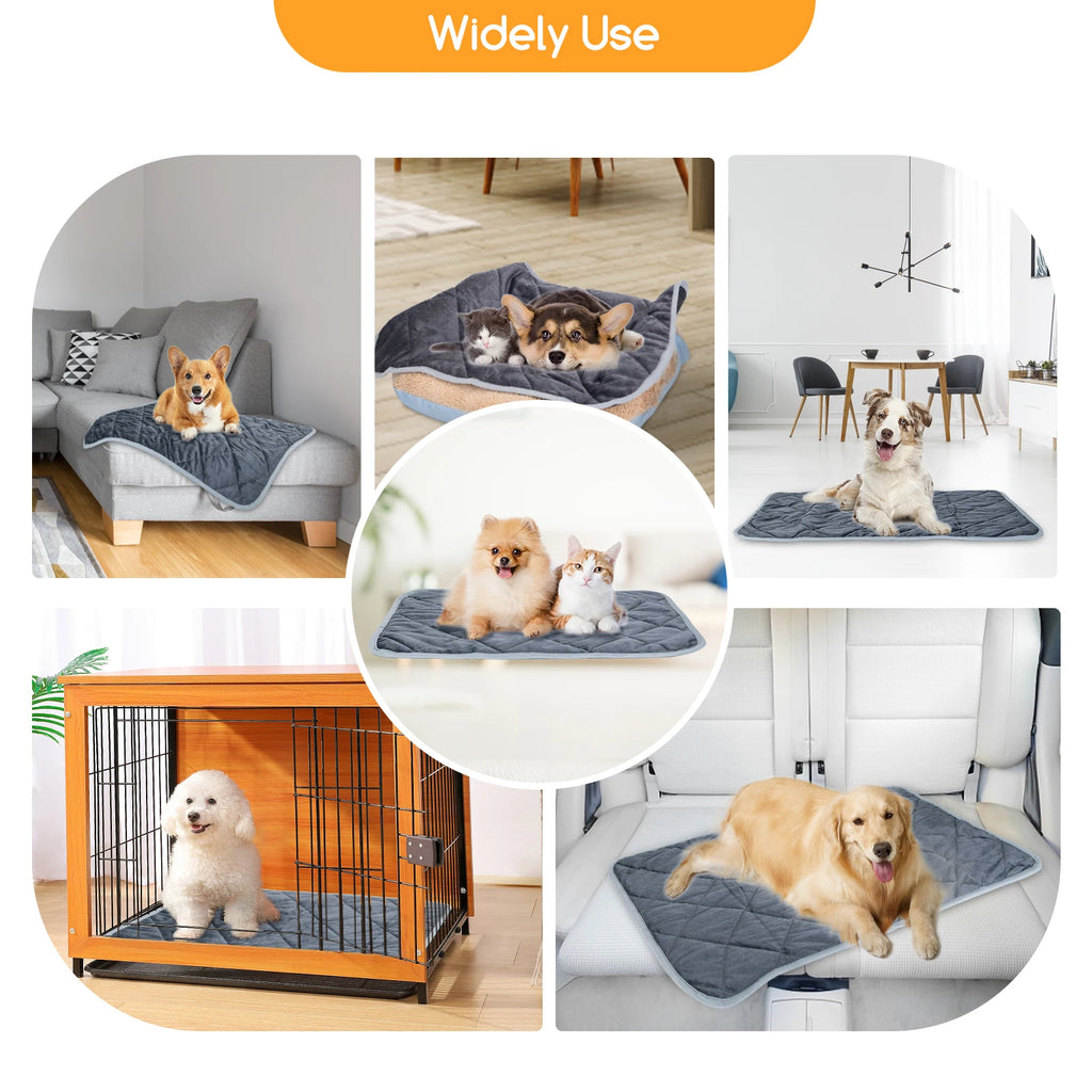 Warm Nest mat used on a sofa, in a crate and on the floor