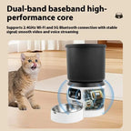 Cat eating in front of the Cuppy Feeder Cam camera