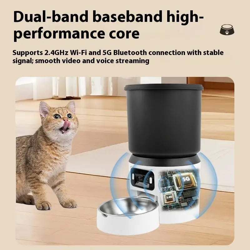 Cat eating in front of the Cuppy Feeder Cam camera