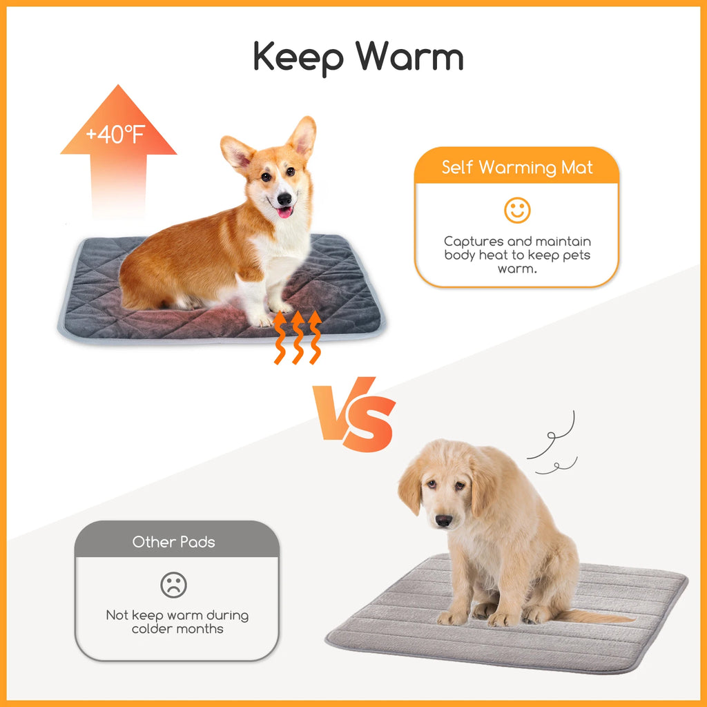 Self-warming mat keeps a dog warm compared with a cold floor