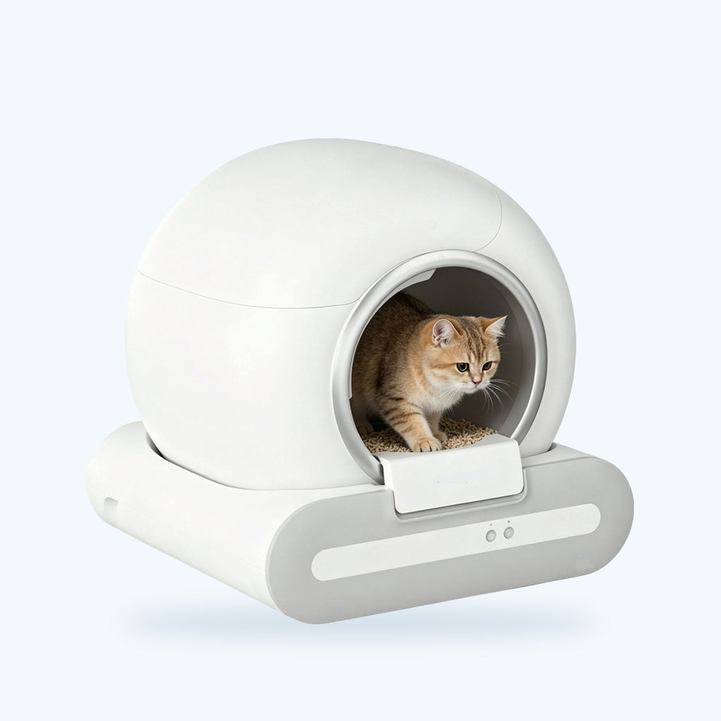 Cuppy Orbit self-cleaning smart litter box with a cat inside