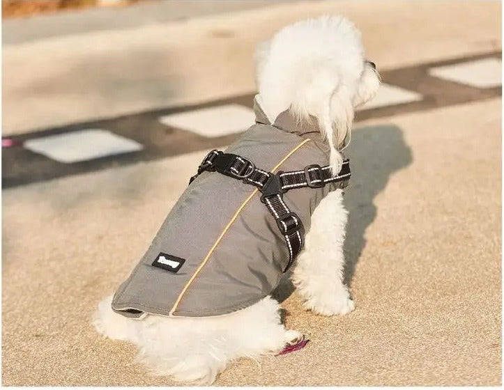 Dog in the Cuppy Storm Coat, seen from the side on a pavement