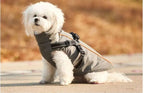 Dog sitting outdoors in the grey Cuppy Storm Coat