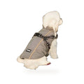 Small white dog wearing the grey Cuppy Storm Coat with harness opening